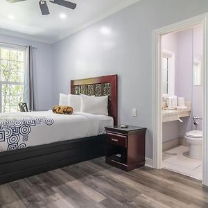 Revive Queen Room
